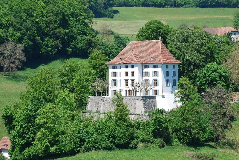 Elektro-Installationen Schloss Rued – Goldenberger Elektro AG